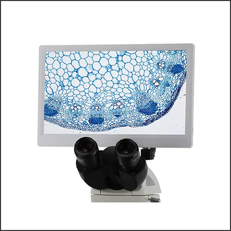 digital-microscope1